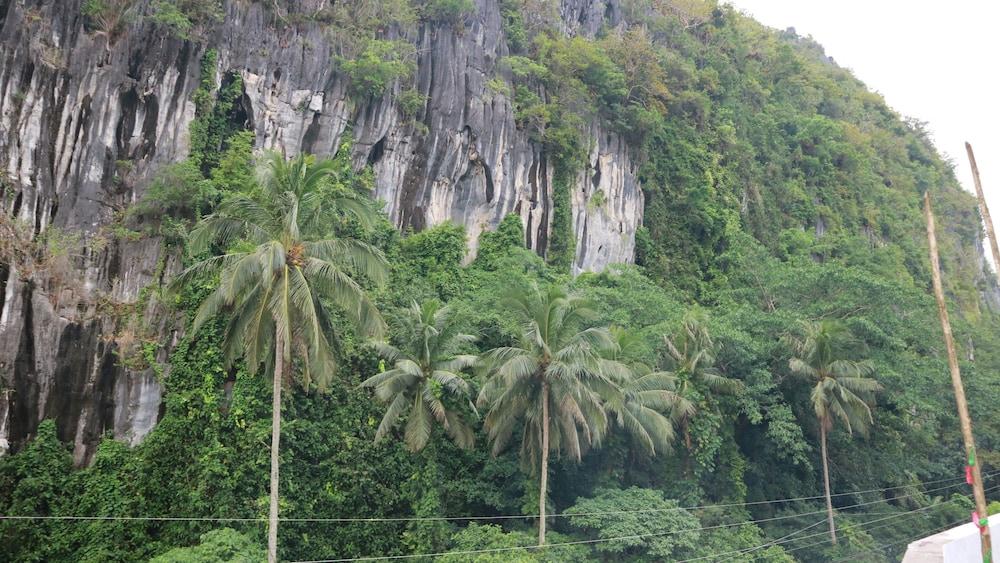 Oyo 718 Socrates Place El Nido Exterior foto